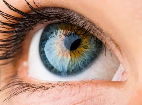 Neurothérapie Appliquée Niveau 1 - Corps physique